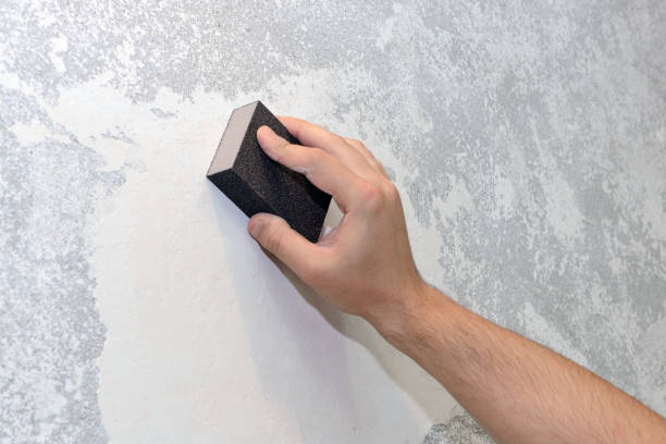 Best Environmental Consulting for Mold Prevention  in Kittredge, CO