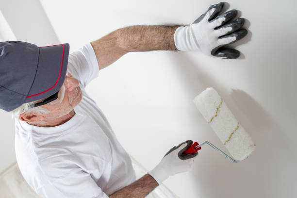 Best Asbestos and Lead Testing During Mold Inspection  in Kittredge, CO