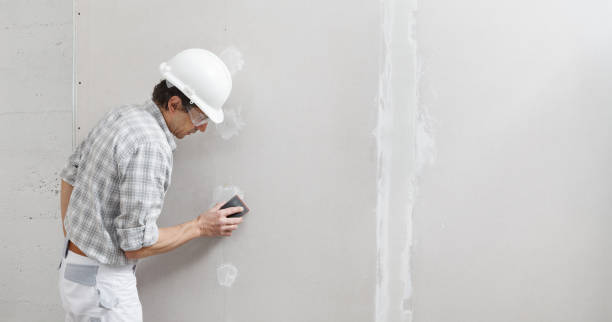 Best Crawl Space Mold Remediation  in Kittredge, CO