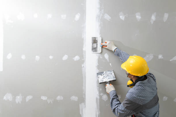 Best Mold Removal for HVAC Installations  in Kittredge, CO