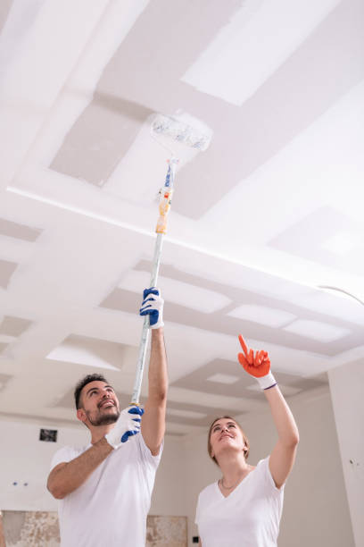 Best Water Damage & Mold Remediation  in Kittredge, CO