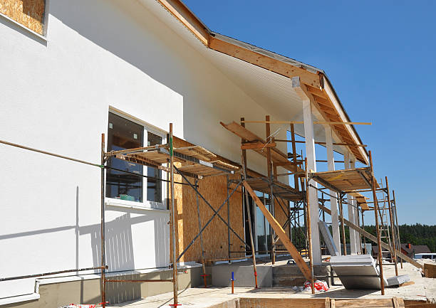 Best Mold Damage Restoration  in Kittredge, CO