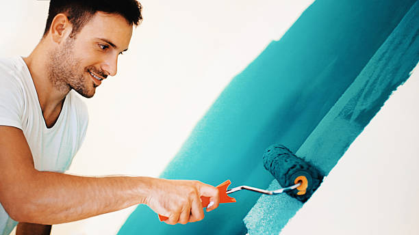 Trusted Kittredge, CO Mold Removal Experts